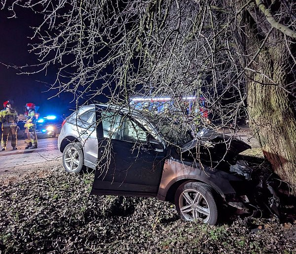 Wypadek w Elżbietowie, nie żyje kierowca-80567