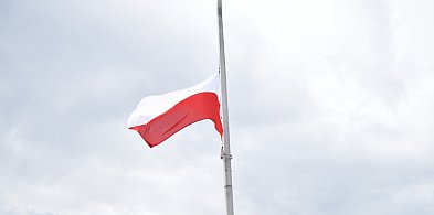 3 Maja w Sochaczewie: jest nowość-83593