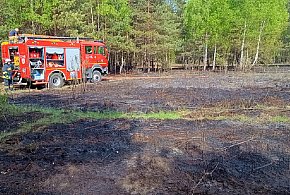 Czarny wtorek w powiecie sochaczewskim: pożary, wypadki i zagrożenia-83662