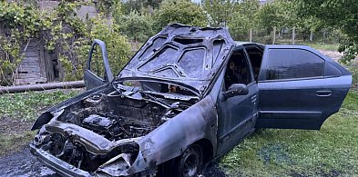 Pożar samochodu w Paprotni-83965
