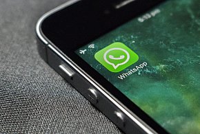 WhatsApp się zmienia. Czy aplikacja będzie płatna?-84896