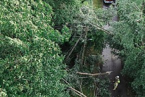 Do południa pożary, potem wichura: 19 interwencji strażaków-85077