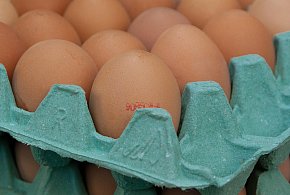 Salmonella na jajach znanej marki. Nie jedz, jeśli masz je w lodówce!-85215
