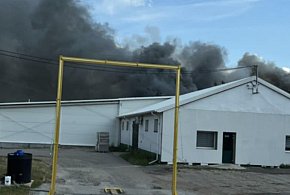 Pożar fermy drobiu w Rokotowie, trwa akcja-85356