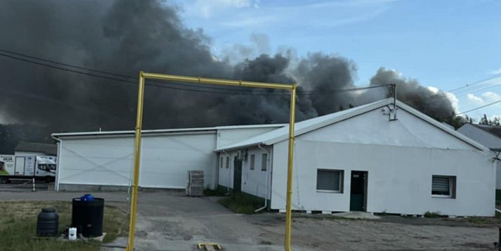 Pożar fermy drobiu w Rokotowie, zginęło kilkanaście tysięcy 