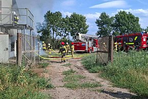 56 strażaków w akcji: służby podsumowują pożar na fermie w Rokotowie [FOTO]-85358
