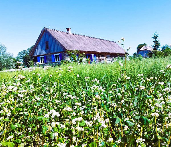 Darmowe warsztaty dawnych zawodów w Skansenie Osadnictwa Nadwiślańskiego-85389