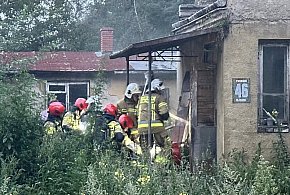 Pożar domu w Teresinie-86073