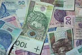 Miliony już na kontach. ZUS wskazuje, ile już wypłacił na...-86352
