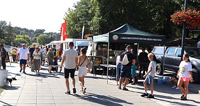 Sochaczew uczcił Święto Wojska Polskiego piknikiem na Podzamczu-86366