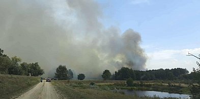 Duży pożar w Pieczyskach Iłowskich, płonęło 10 hektarów łąk i lasu-86758