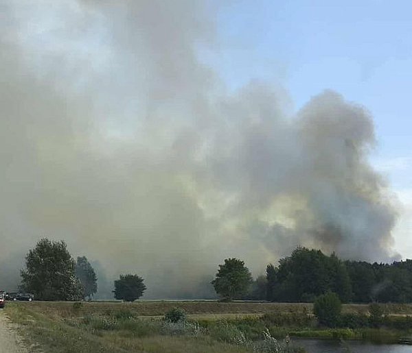 Duży pożar w Pieczyskach Iłowskich, płonęło 10 hektarów łąk i lasu-86758
