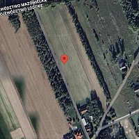 zdjecie ogloszenia