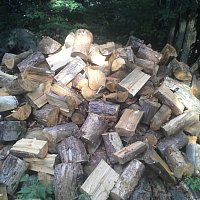 zdjecie ogloszenia