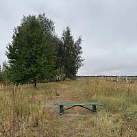 zdjecie ogloszenia
