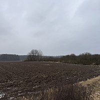 zdjecie ogloszenia