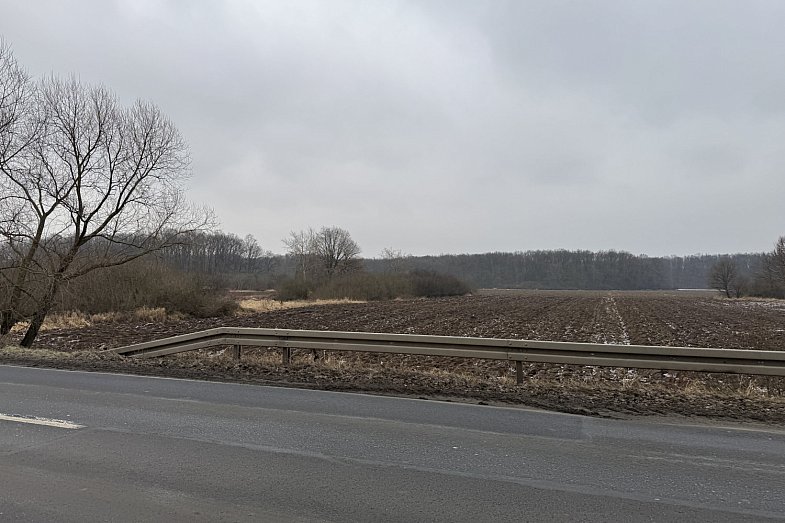 zdjecie ogloszenia