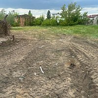 zdjecie ogloszenia