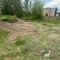 zdjecie ogloszenia