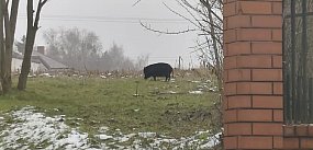 Taka sytuacja na ulicy Młynarskiej