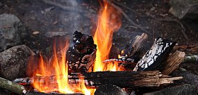 Chwila nieuwagi i 30 tys. zł kary. Nowe przepisy