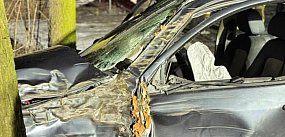 8 wyjazdów straży, praktycznie jednej doby