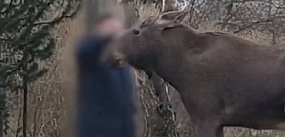 Nie prowokujcie tragedii: apel KPN