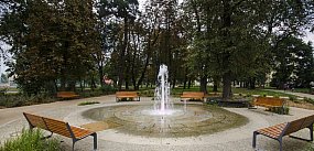 Do Sochaczewa wrócili sokolnicy