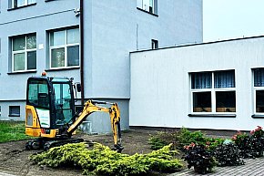 Trwają prace nasadzeniowe przy szkołach w Młodzieszynie i Janowie-16253