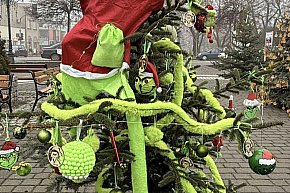 Plac Kościuszki: ktoś ukradł Grincha z choinki uczniów, ręce opadają-16528