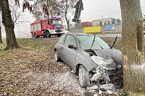 Interwencje strażaków w święta-16543