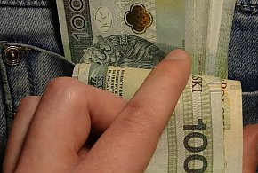 Nowe zasady 800 plus. ZUS sprawdzi zatrudnienie-86939
