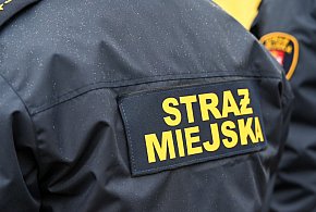Zapuka strażnik, zapłacisz karę. Ruszyły kontrole w całej Polsce-87990
