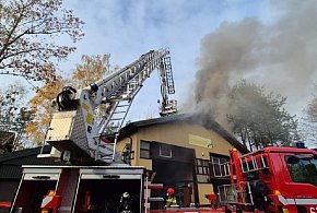 Pożar w Kożuszkach Parcel, strażacy podsumowują akcję. Ta trwała 7 godzin-88619