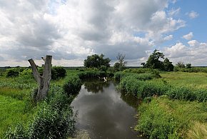 Co dalej z nowym parkiem narodowym? Minister klimatu zdradza plan po wecie-88852