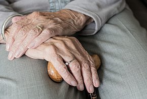 Te osoby dostaną dwie emerytury w grudniu. ZUS przesuwa przelewy-89276