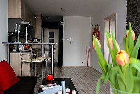 Rewolucja w wynajmie na doby. Nadchodzi koniec "wolnej amerykanki"-89579