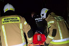 Szczekanie, które uratowało życie. Dramatyczna akcja w lasach pod Skierniewicami-89997