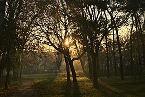 Nadchodzi najkrótszy dzień w 2025 roku. Sprawdź, kiedy przypadnie-90071