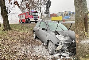 Święta w powiecie sochaczewskim: 14 interwencji straży-90232