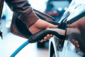 Coraz częściej dochodzi do takich kradzieży. Powody zaskakują-90897