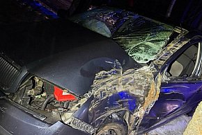 Nietrzeźwa 18-latka kontra drzewo. Prawo jazdy miała od pół roku