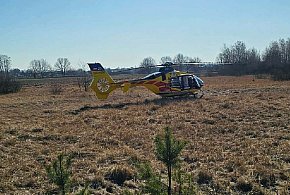 Wypadek przy wycince, pożary i zdarzenie drogowe: trudny dzień dla straży