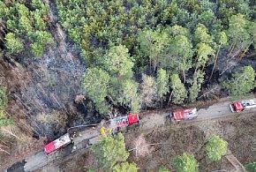 KP PSP Sochaczew: sześć pożarów w jeden dzień, ogień strawił 1,5 ha lasu [FOTO]