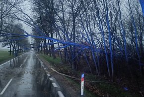 Pożary i powalone drzewa: wielkanocne interwencje naszych strażaków