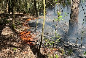 Podejrzana seria pożarów w bliskiej odległości w Sochaczewie