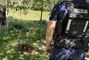 Niecodzienna sytuacja w gminie Sochaczew, pomogli policjanci