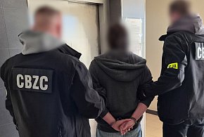 Gigantyczna akcja przeciw pedofilom. Policja ujawnia porażające liczby