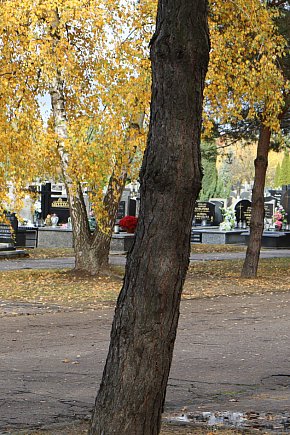 Sochaczew przed Wszystkimi Świętymi-16309