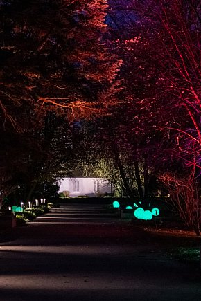 Jest klimat, Żelazowa Wola z nową iluminacją-16422